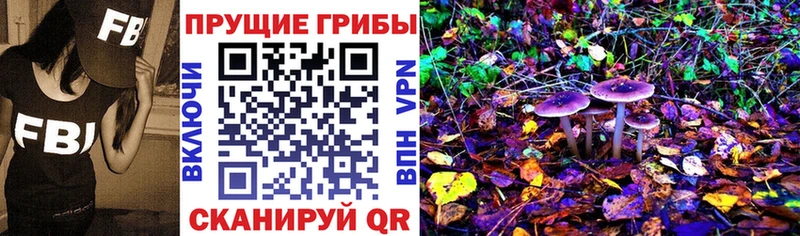 хочу Касли Галлюциногенные грибы Cubensis